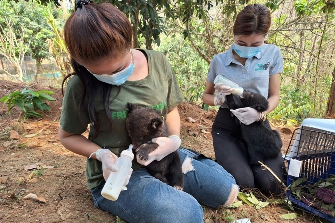16 unterernhrte Brenbabys aus Haus in Laos gerettet