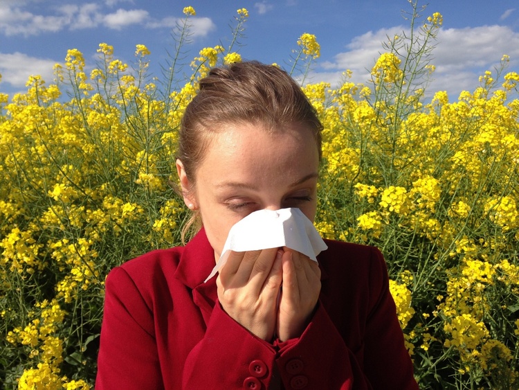 Kaum noch Pausen für Pollenallergiker