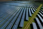 Groes Interesse an Ausschreibung fr Solaranlagen - Habeck: Stromkosten sinken