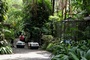 Fast 300 Tiere nach Aus fr letzte staatliche Zoos in Costa Rica in Wildtierzentrum verlegt