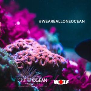 Schutz der Weltmeere: WOLF Umweltpreis für Fachhandwerker
