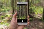 Mobilfunk-Angebot mit dem Plus für den Wald