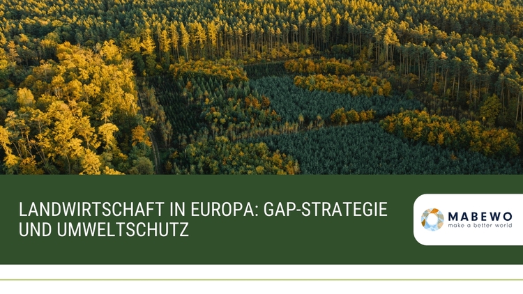 Landwirtschaft in Europa: GAP-Strategie und Umweltschutz