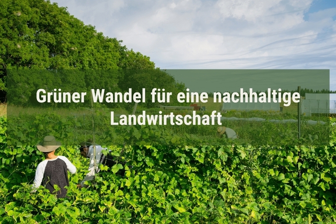 Grüner Wandel für eine nachhaltige Landwirtschaft