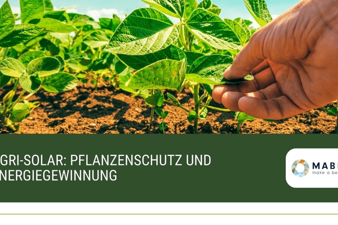 Agri-Solar: Pflanzenschutz und Energiegewinnung
