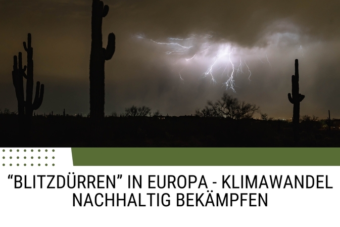 ''Blitzdürren'' in Europa - Klimawandel nachhaltig bekämpfen