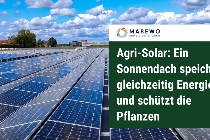 Agri-Solar: Ein Sonnendach speichert gleichzeitig Energie und schützt die Pflanzen
