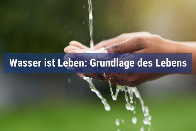 Wasser ist Leben: Grundlage des Lebens