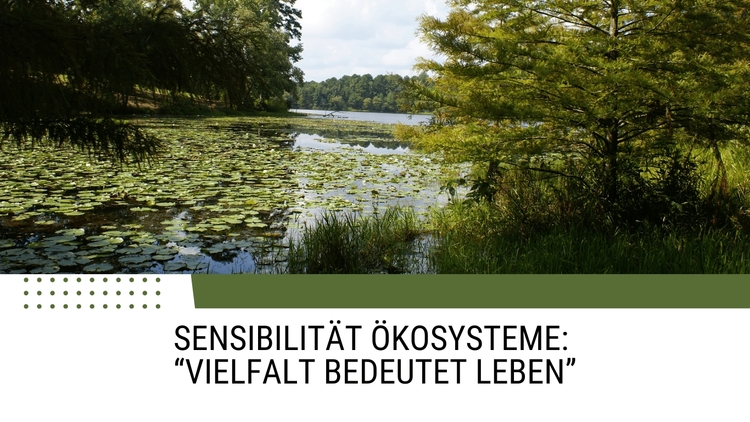 Sensibilität Ökosysteme: 