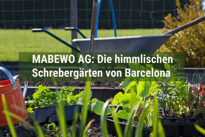 MABEWO AG: Die himmlischen Schrebergärten von Barcelona