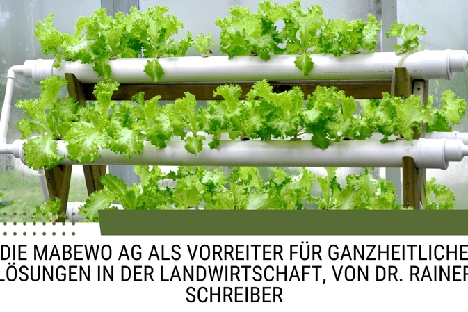 Die MABEWO AG als Vorreiter für ganzheitliche Lösungen in der Landwirtschaft, von Dr. Rainer Schreib