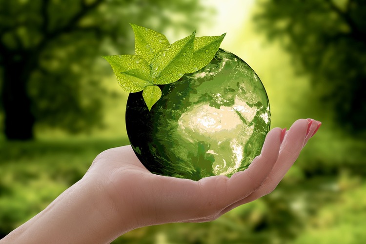 Nachhaltigkeit im Alltag: Praktische Schritte, wie man umweltfreundlicher leben kann