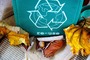 Kreislaufwirtschaft und Verpackungen: Wie Unternehmen durch nachhaltige Materialien profitieren