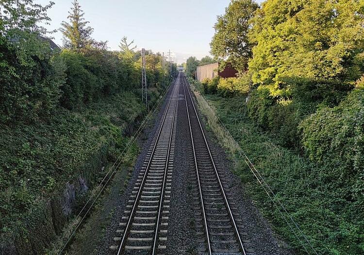 Umgestürzte Bäume stören immer häufiger den Bahnverkehr