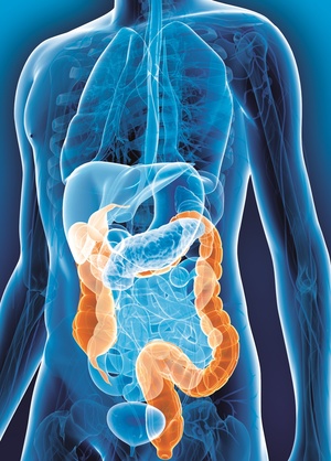 Darmkrebsmonat März: Forschung hilft