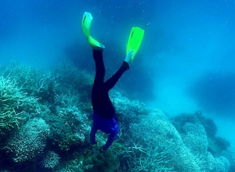 Meere weltweit erleben massive Korallenbleiche