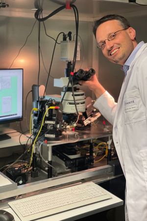 Vielversprechender Therapieansatz bei Alzheimer