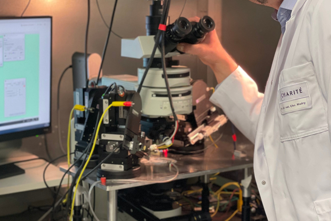 Vielversprechender Therapieansatz bei Alzheimer