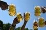 Stiftung Warentest: Alkoholfreie Biere schneiden gut ab - manche schmecken ksig