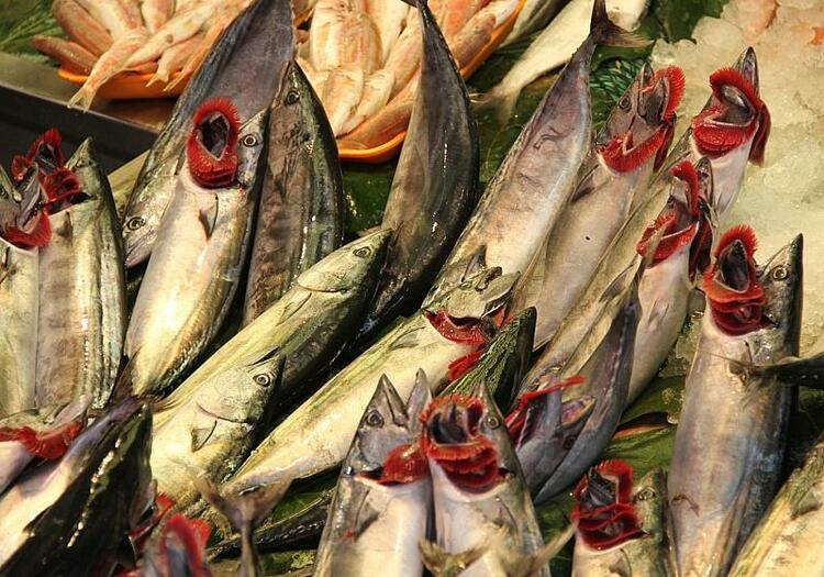 Fischerzeugung in Aquakulturen gesunken