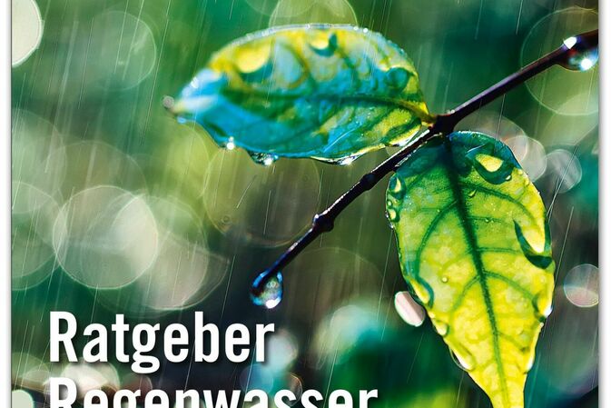 Regenwasser für die klimaresiliente Stadt