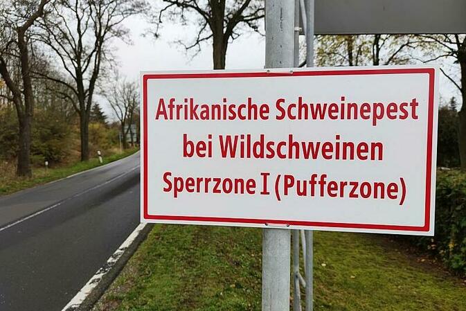 Erster Fall der Afrikanischen Schweinepest in Hessen nachgewiesen