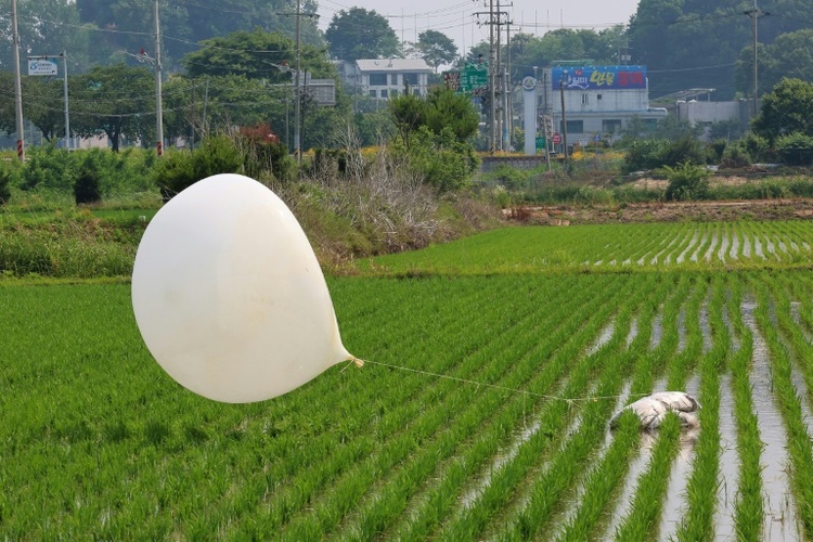 Seoul: Parasiten aus menschlichen Fäkalien in Müllballons aus Nordkorea gefunden