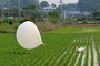 Seoul: Parasiten aus menschlichen Fkalien in Mllballons aus Nordkorea gefunden