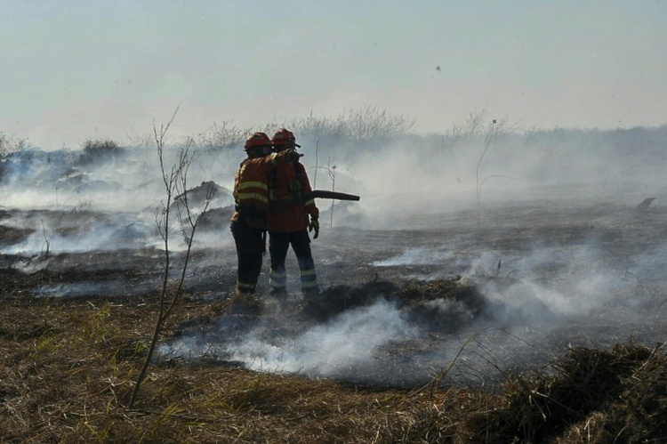 Größtes Feuchtgebiet der Erde: Ausnahmezustand wegen Bränden im Pantanal