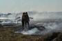 Grtes Feuchtgebiet der Erde: Ausnahmezustand wegen Brnden im Pantanal