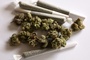 Studie: Fast die Hlfte der jungen Erwachsenen hat Cannabis ausprobiert