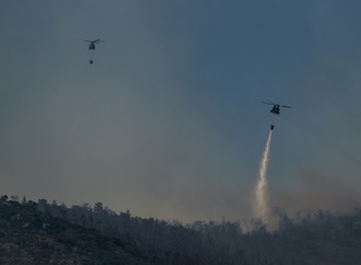 Feuerwehr kmpft nahe der griechischen Hauptstadt gegen weitlufigen Waldbrand