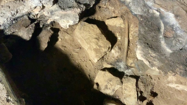 Fund in australischer Höhle: Heilritual der Aborigines reicht 12.000 Jahre zurück