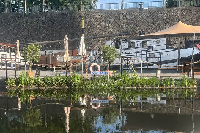 Blaualgenplage: Asahi Kasei Europe und Marina Düsseldorf starten Umwelt-Initiative im Düsseldorfer H