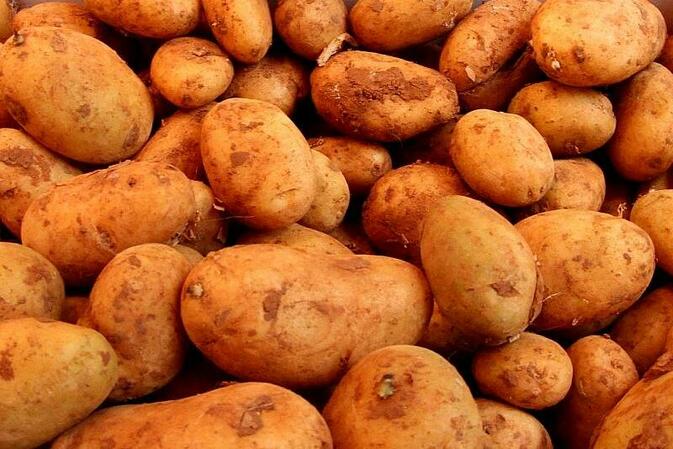 Landwirtschaftliche Erzeugerpreise steigen deutlich