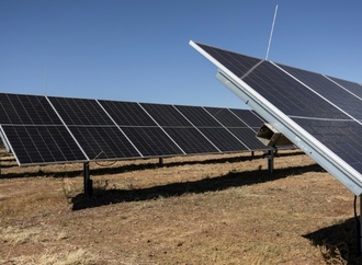 Starker Ausbau der Solarenergie - vor allem auf Freiflchen und Firmendchern