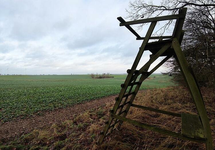 Ostfrieslands Jäger: 