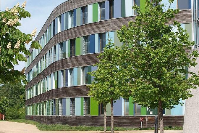 Umweltbundesamt zweifelt an Nutzen von pflanzlichem Dieselkraftstoff