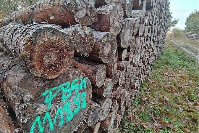 Wirtschaftsministerium dementiert geplante CO2-Abgabe auf Holz
