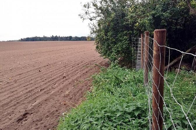 Wissing erlaubt Drohneneinsatz zum Tierschutz in der Landwirtschaft