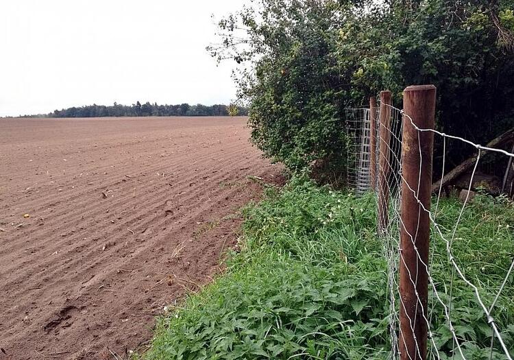 Wissing erlaubt Drohneneinsatz zum Tierschutz in der Landwirtschaft