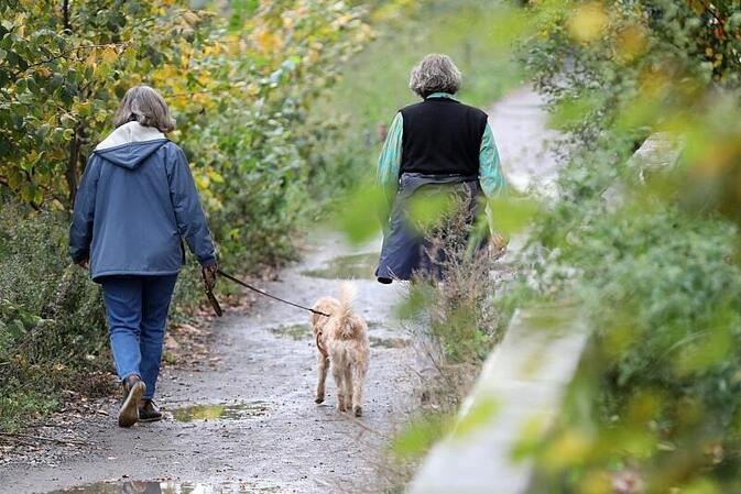 Einnahmen aus Hundesteuer auf Rekordniveau