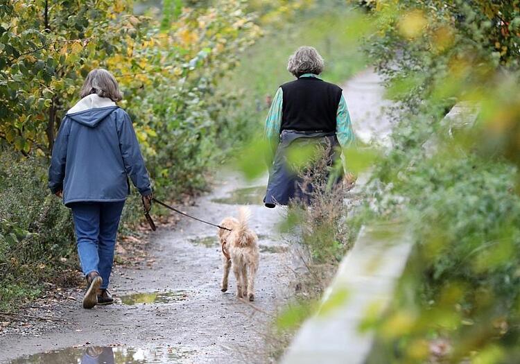 Einnahmen aus Hundesteuer auf Rekordniveau