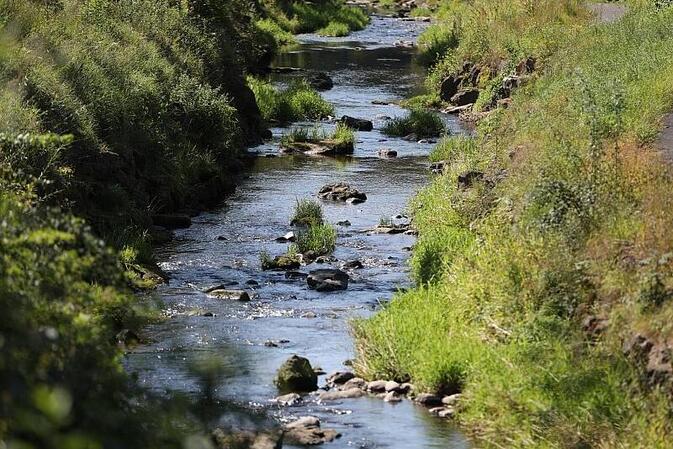 EU-Bericht: Zwei Drittel der Flüsse und Seen in schlechtem Zustand