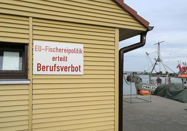 Özdemir will breitere Debatte über EU-Fischfangquoten