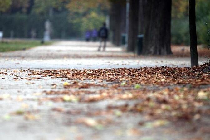 Wetterdienst: Temperatur im Oktober war deutlich zu hoch