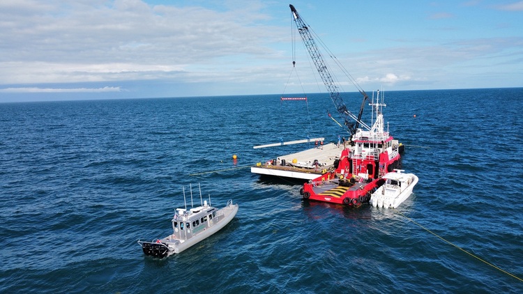 Florida Keys: Ausrangierte Strommasten werden zu maritimen Lebensräumen