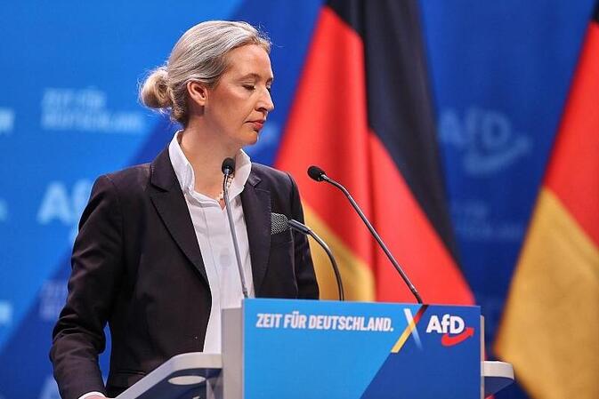 Ökonomen kritisieren AfD-Pläne zu Europa und Windkraft scharf