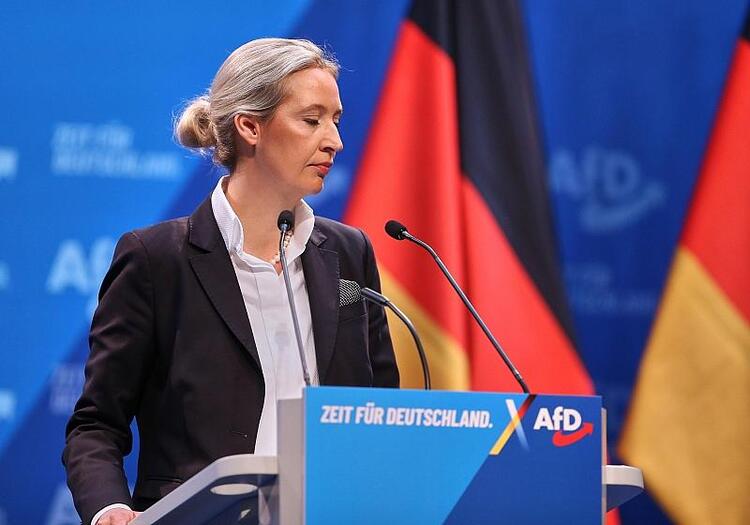 Ökonomen kritisieren AfD-Pläne zu Europa und Windkraft scharf