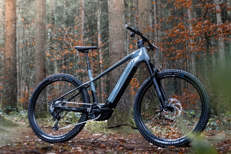 Simplon Cure und Sengo :e - Hoch und weit